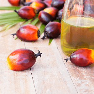 D-核糖 × 菸鹼醯胺