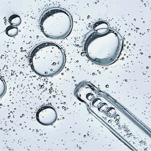 雞冠萃取物(含透明質酸納)