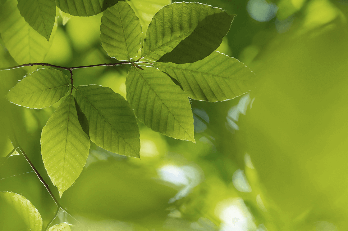 免費體驗包索取