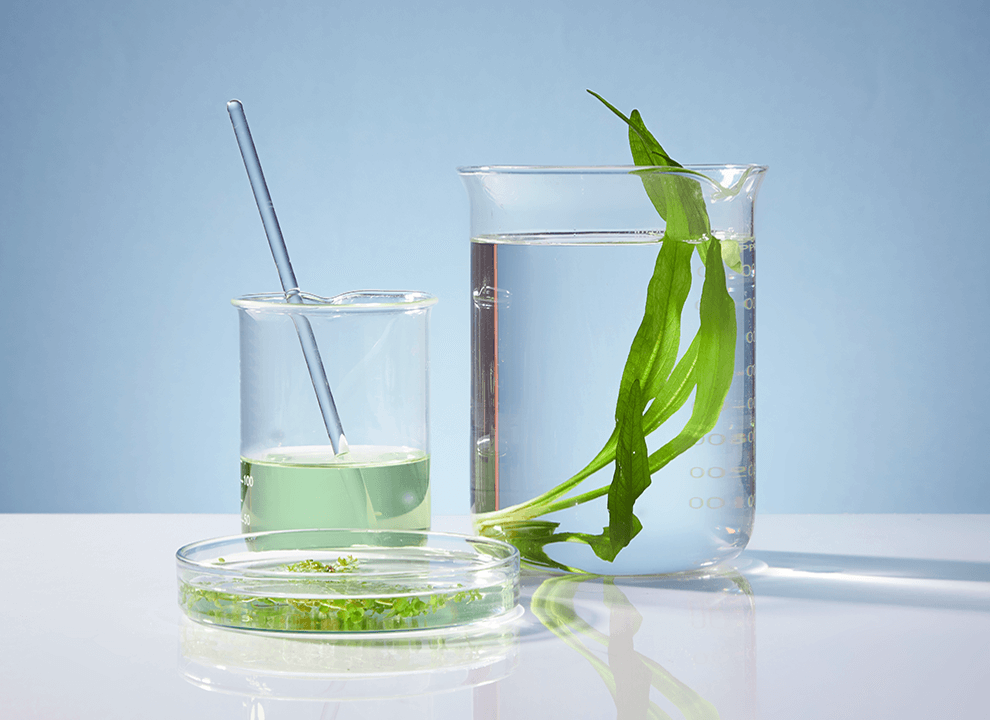 PDRN海洋複合精粹