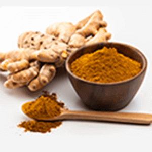 Turmeric Extract